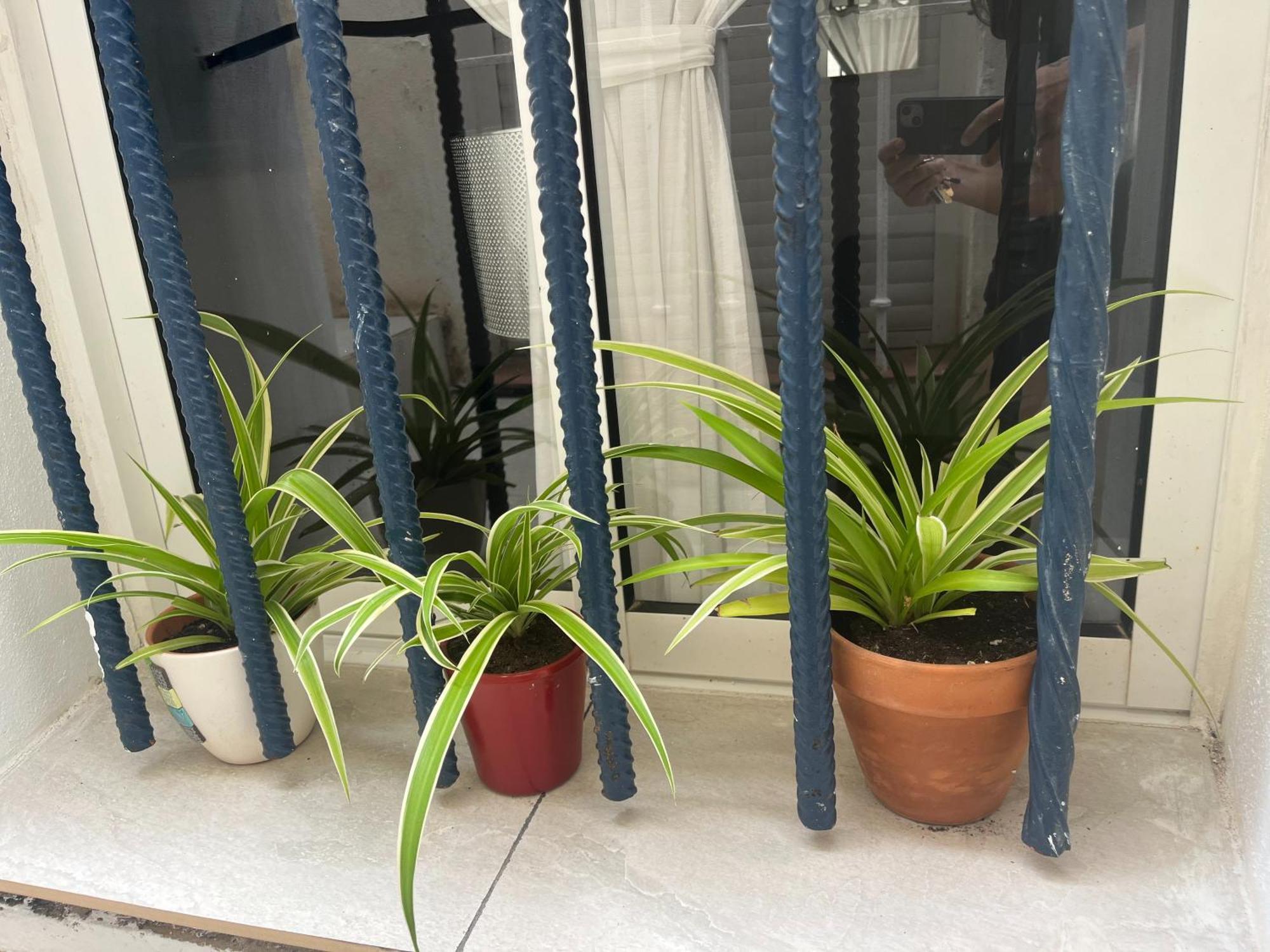 Casa Deniz Apartment Malaga Room photo